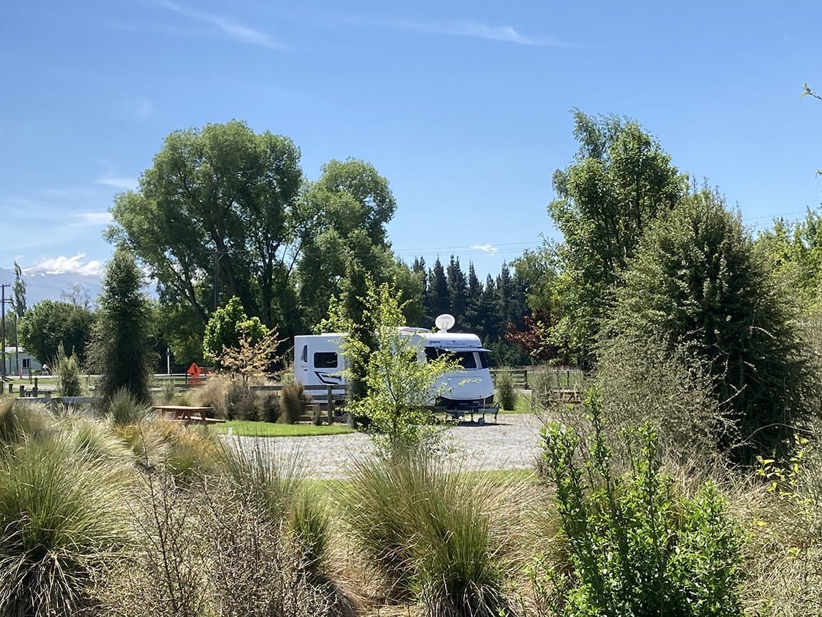 Large campervan parking area with native trees and shrubs at Musterer's Accommodation, Fairlie.