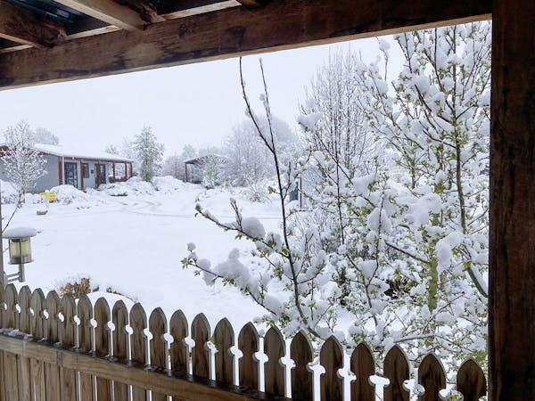 Snow-covered cabins in winter at Musterer's Accommodation, Fairlie.