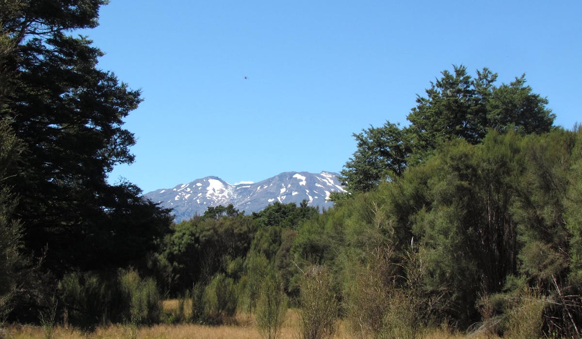 Just 50 me walk from the Night Sky Cottage enjoy the Mt Ruapehu view from your private deck.