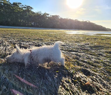 Bagnalls Beach