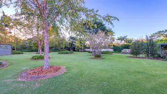 Bonville Lodge Garden