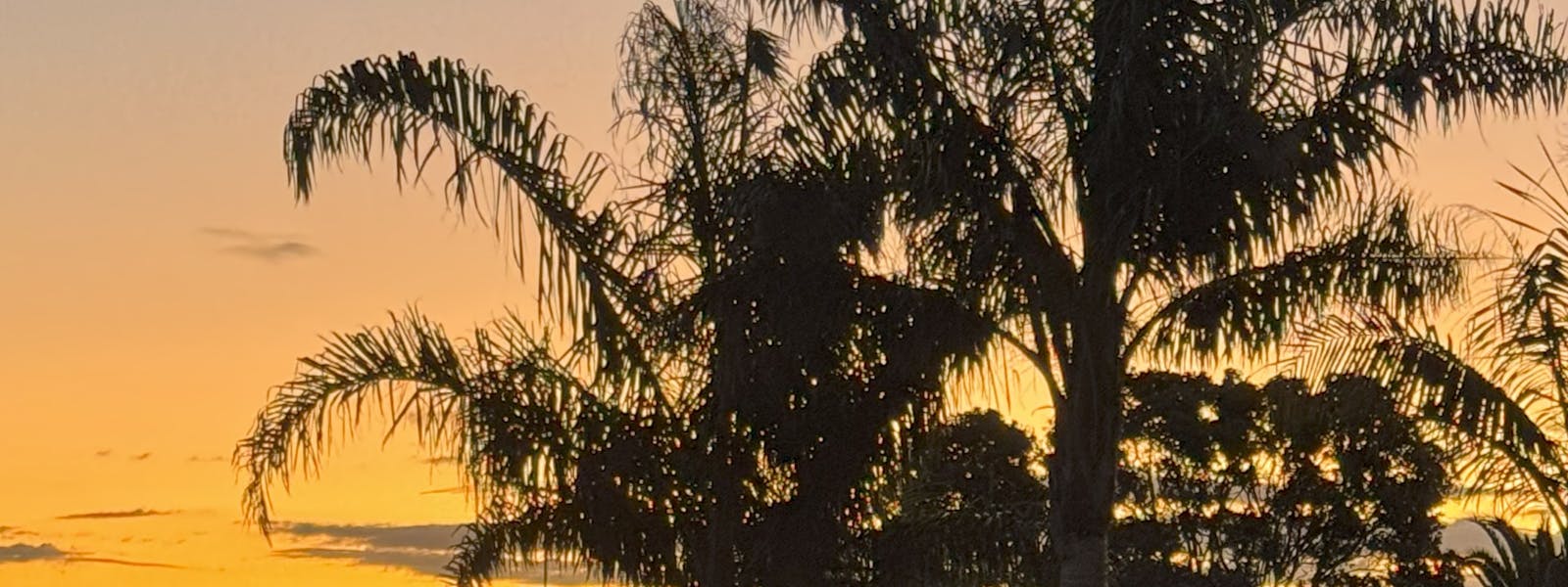 Comfort Inn Sunset
