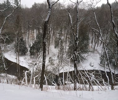 We are located by the Pine River. We have the Best River for canoeing and kayaking