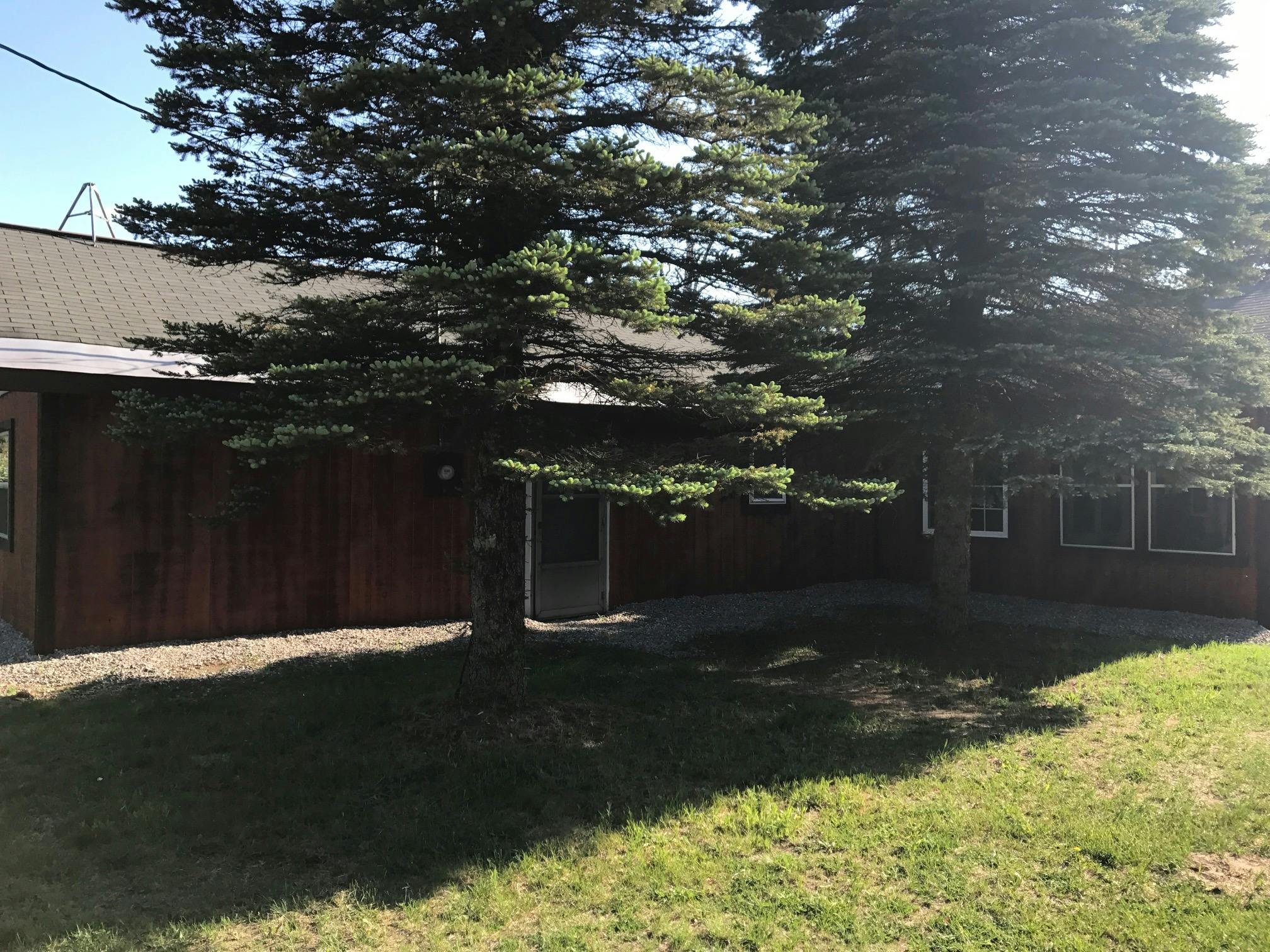 The Grand Daddy Cabin Sleeps Eight at Best Bear Lodge & Campground