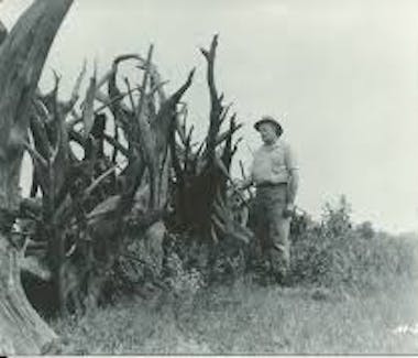 Shrine of the Pines, Baldwin Michigan