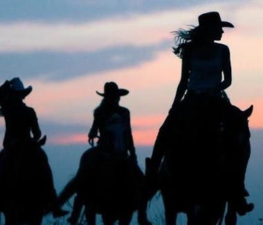 Rockin L Ranch Horse Back Riding. Address: 8145 110 Ave, Evert, Michigan 49631