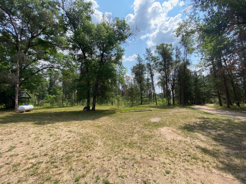 Lincoln Hills Cabin Yard
