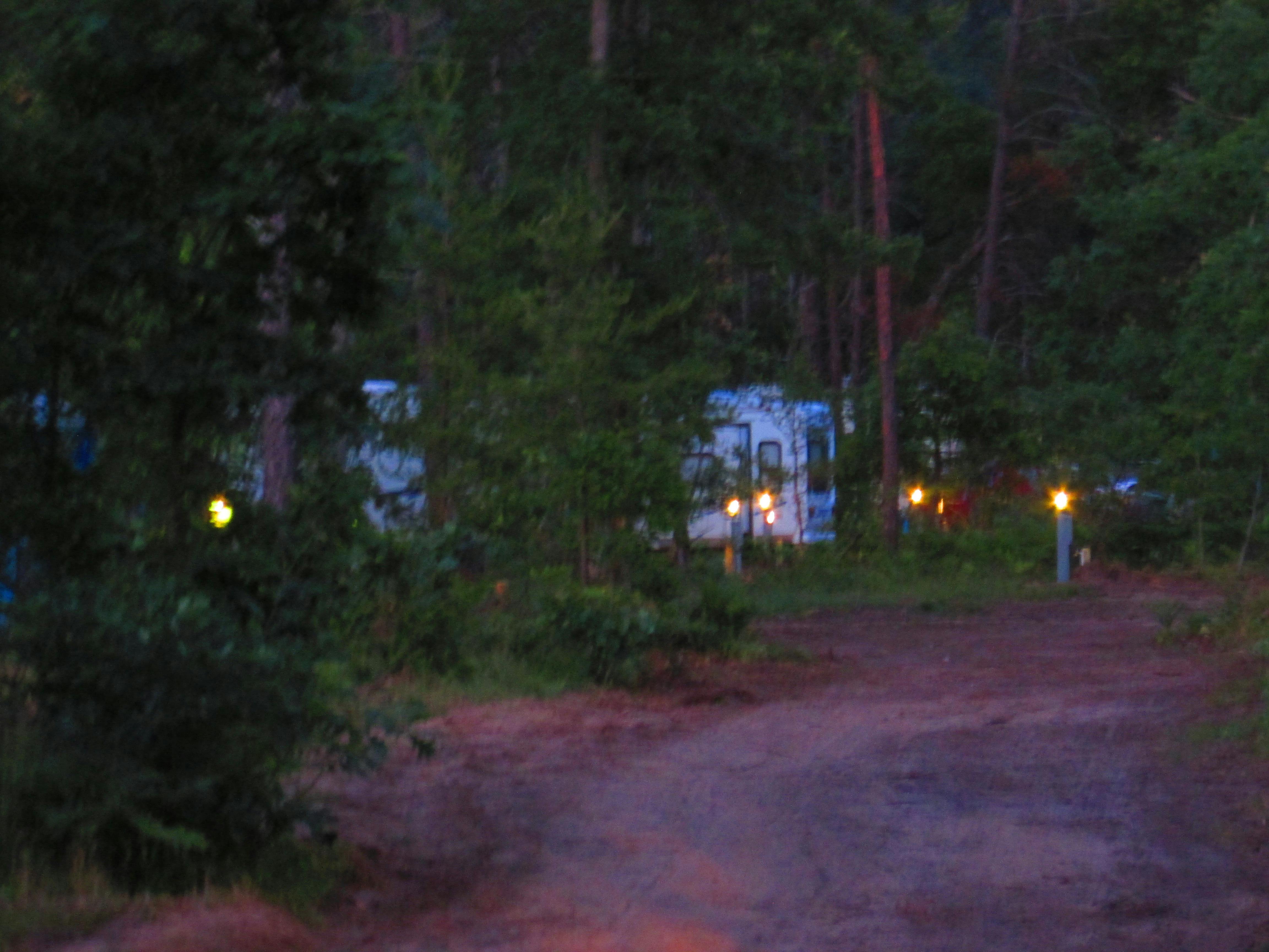 Beautiful Night at Best Bear Lodge & Campground