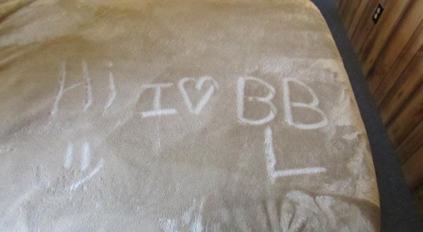 People love Best Bear Lodge & Campground