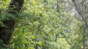 alt="Customers enjoying Polaris UTV rentals — ride Michigan’s trails, adventure starts here at Best Bear Lodge in Irons MI"