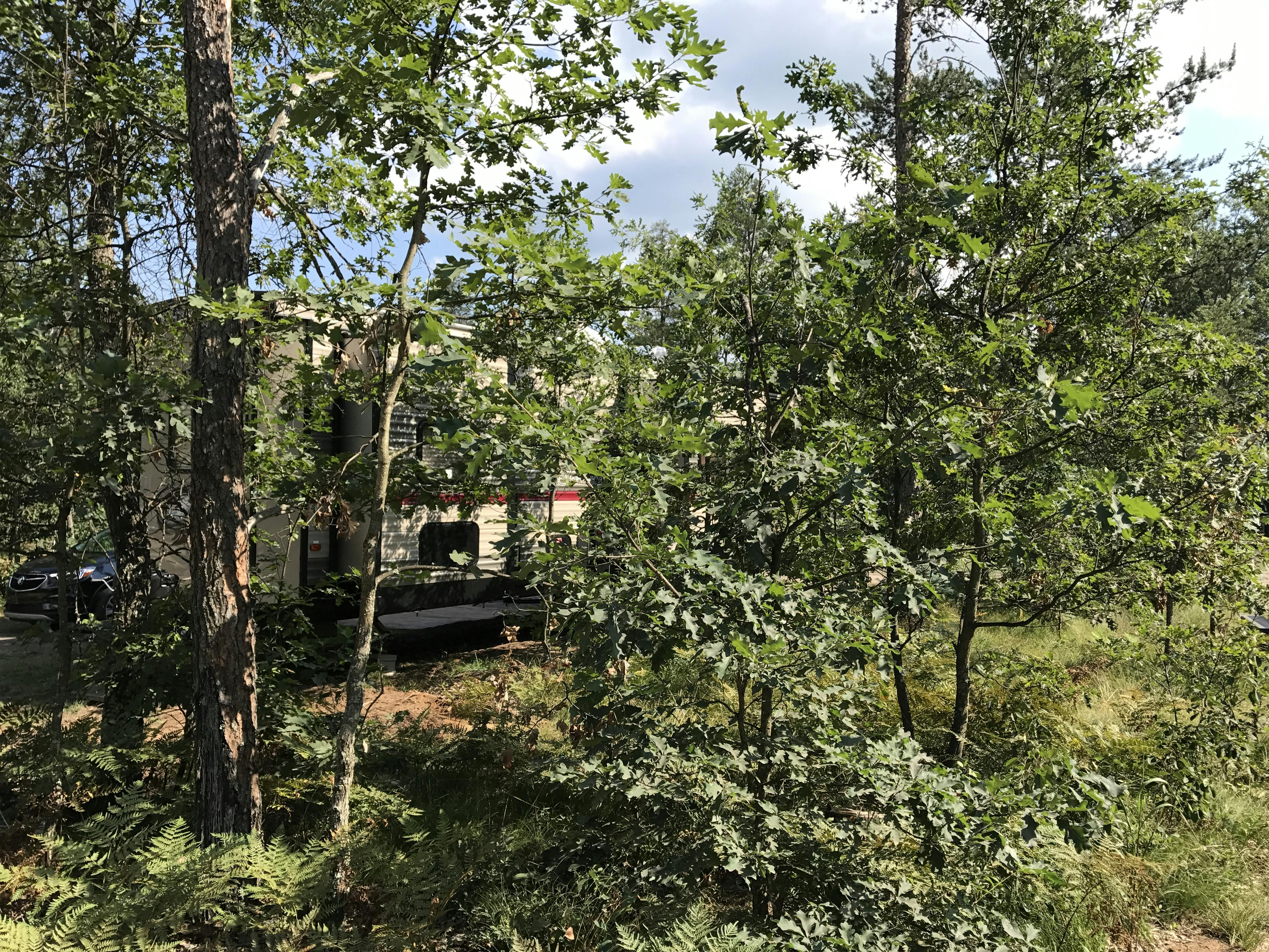 Grand Cherokee Destination RV Cabin Rental at Best Bear Lodge & Campground