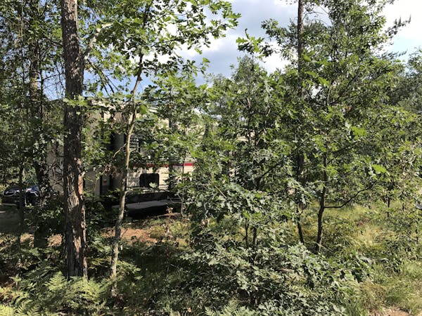 Grand Cherokee Destination RV Cabin Rental at Best Bear Lodge & Campground