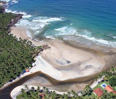 Jeribucaçu