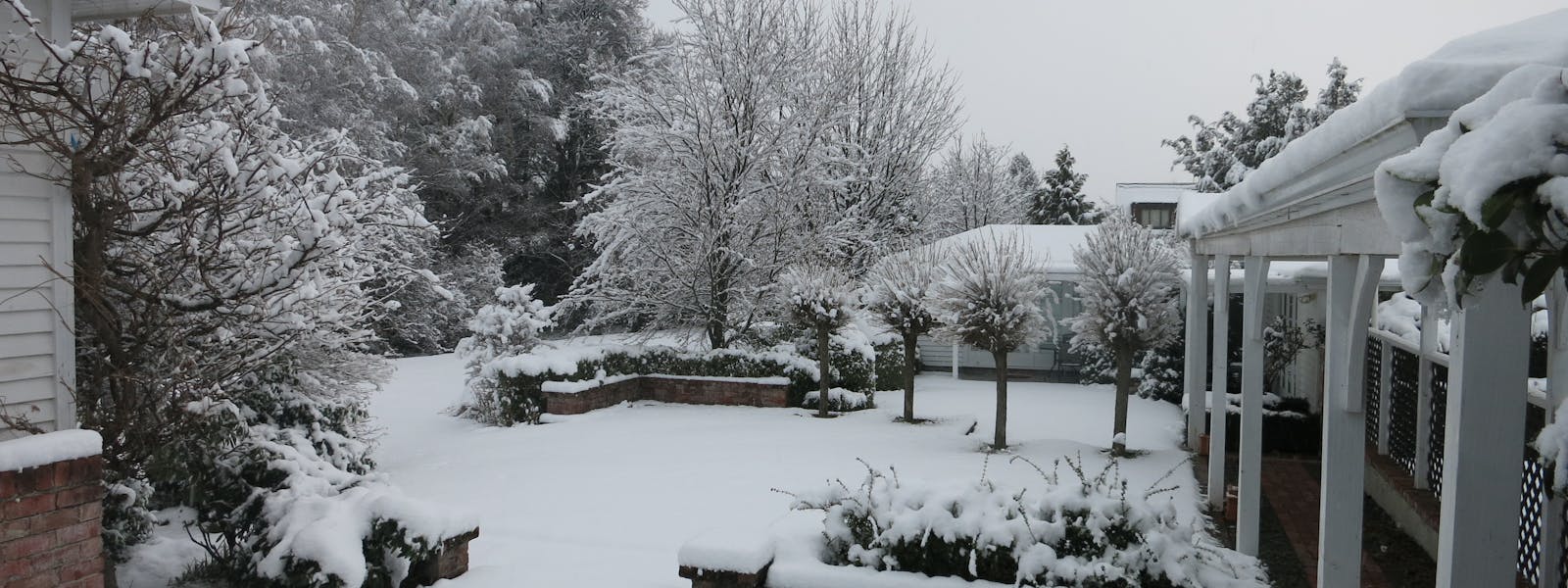A little snow in the garden