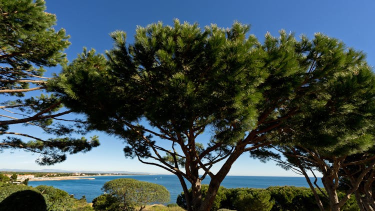 Vue de l'hôtel et Spa Les Mouettes à Argelès-sur-Mer