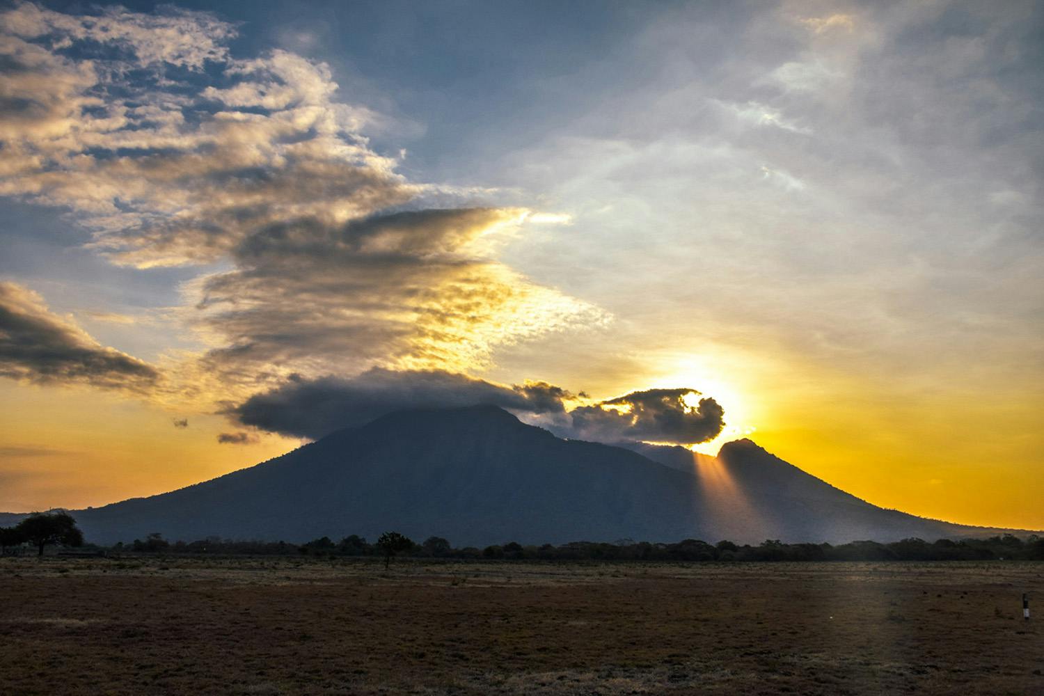 Bangsring Breeze tours to the nearby Baluran National Park