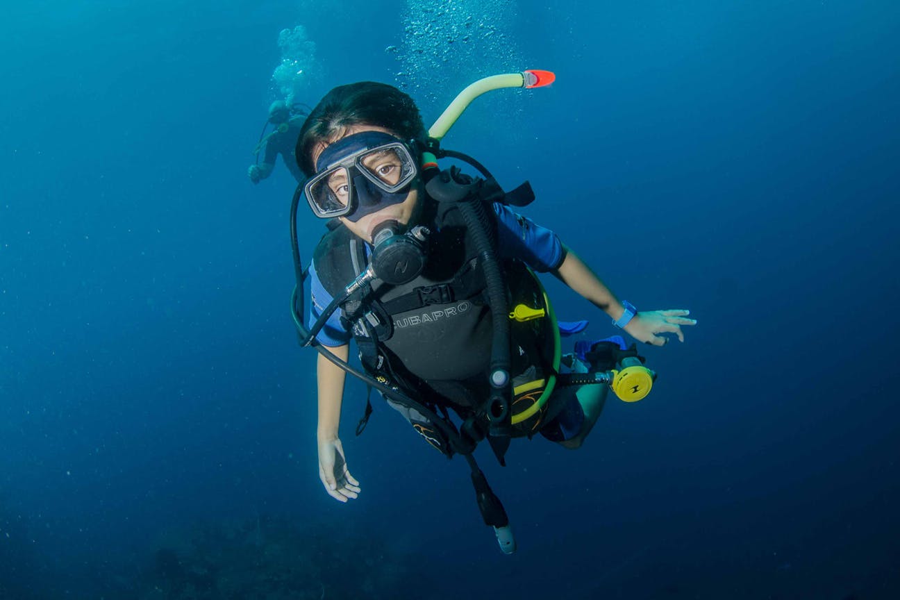 Bangsring Breeze diving trips to Menjangan Island