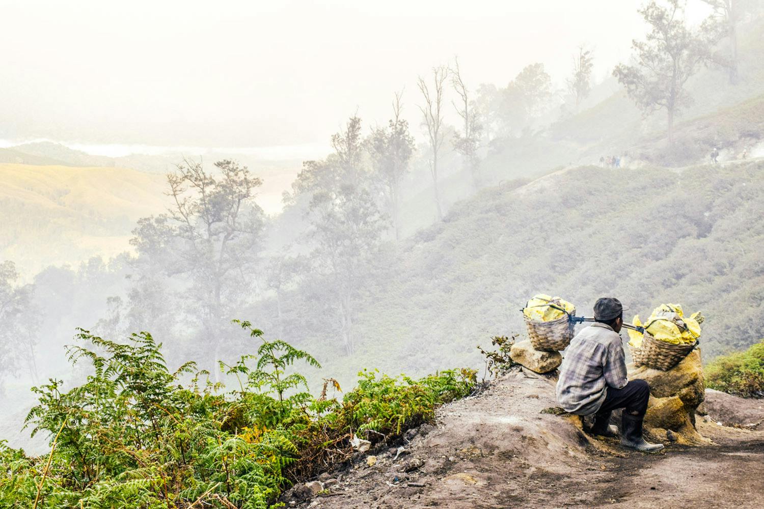 Bangsring Breeze hiking trips to the Kawah Ijen