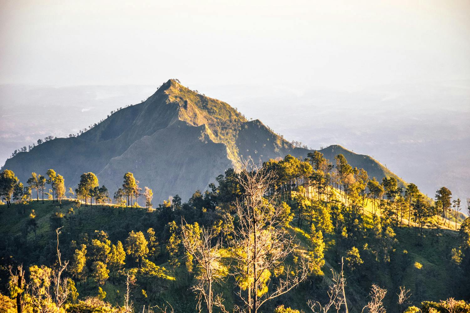 Bangsring Breeze hiking trips to the Kawah Ijen