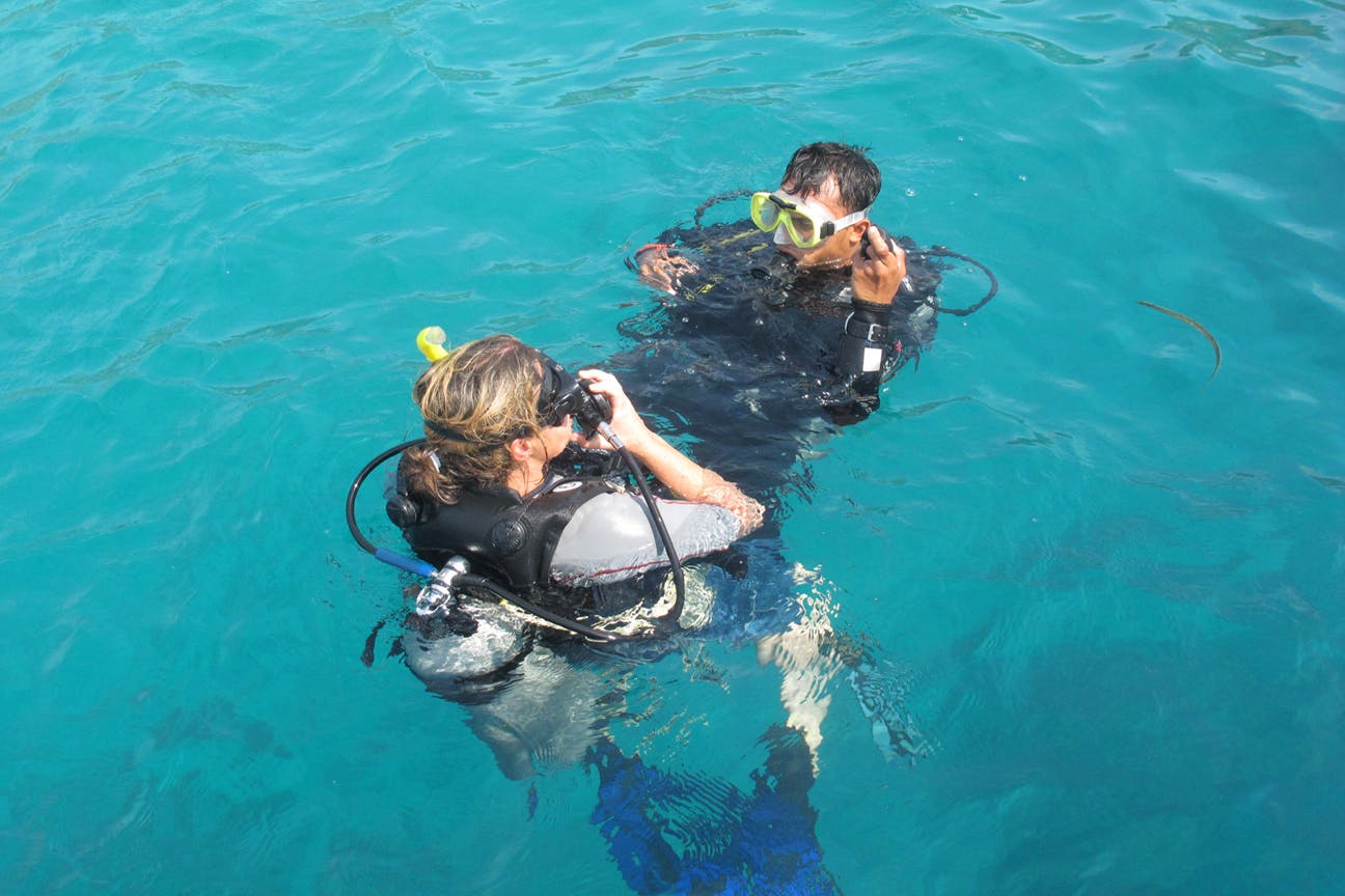Bangsring Breeze diving trips to Menjangan Island