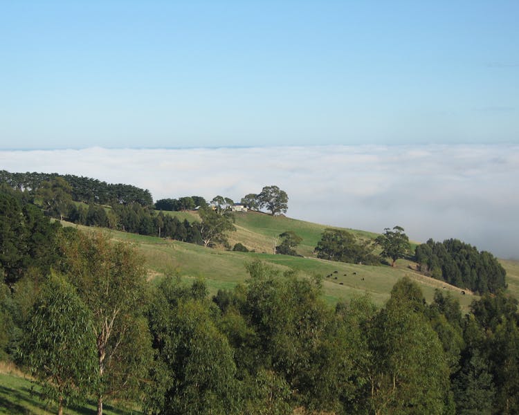 Stunning views in beautiful West Gippsland at Anderley