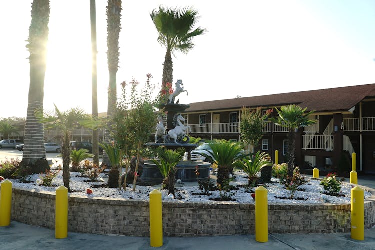 Savannah, Inn, Suites, Extended Stay, Rooms, Front yard, Garden, Water, Fountain, Palm Trees