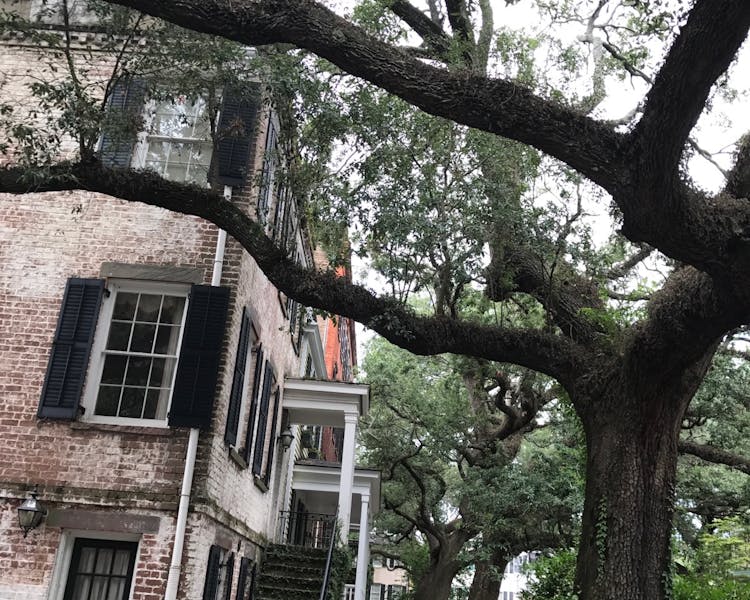 Savannah Downtown, Downtown, Savannah, Square, Savannah Inn, Attractions, Walking Tour, Tours, Sightseeing