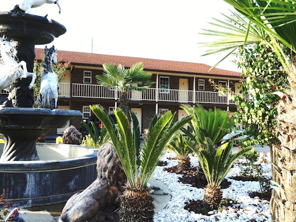 Savannah, Inn, Suites, garden, barbecue, hotel, motel, king, king bedrooms, entrance, palm, savannah inn & suites