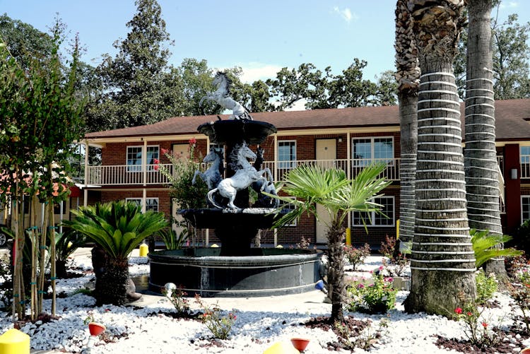 common area, waterfall, Savannah, Inn, Suites, garden, barbecue, hotel, motel, king, king bedrooms, entrance