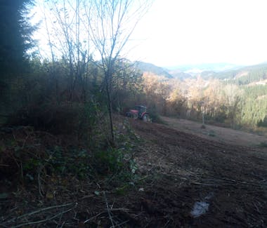 Zonas de sol y de sombra en Finca Ellauri