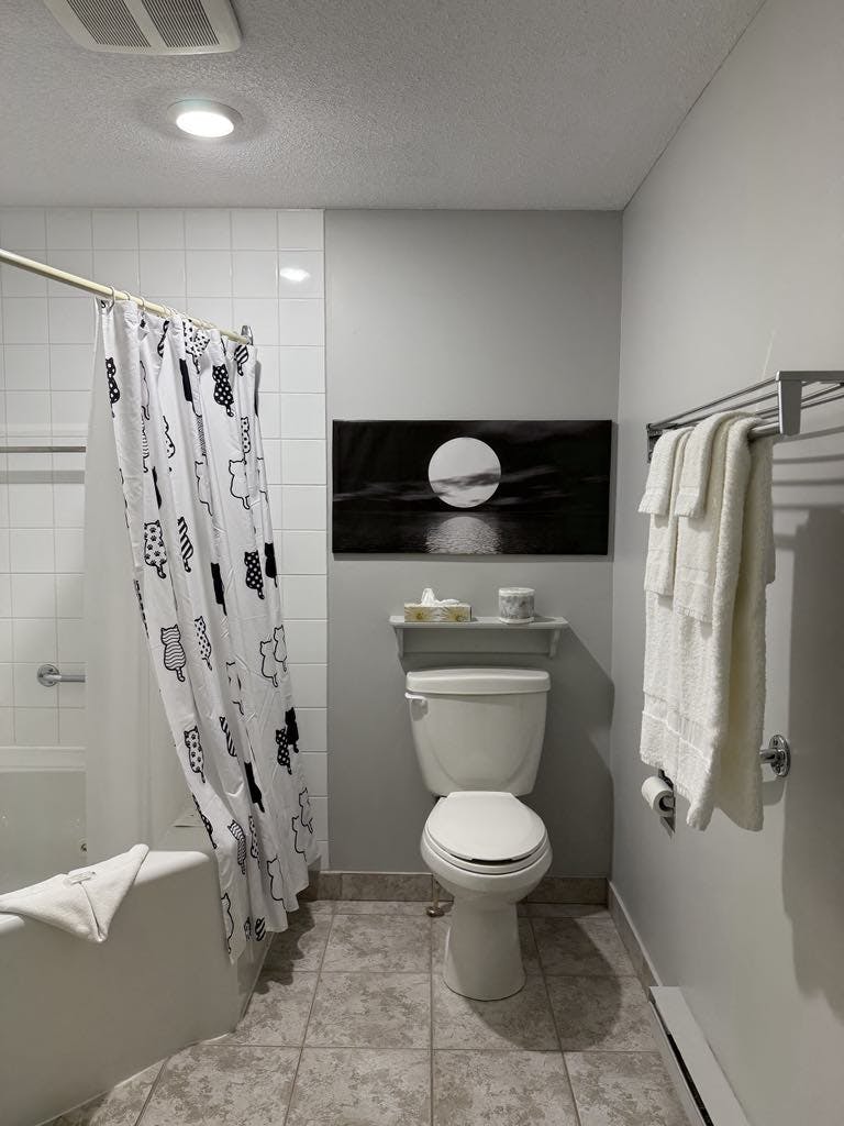 Room Deluxe Queen Adapted #12 Bathroom