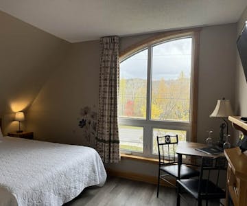 Cedar room wimdow and outside view 2025