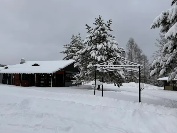 Gazebo winter time