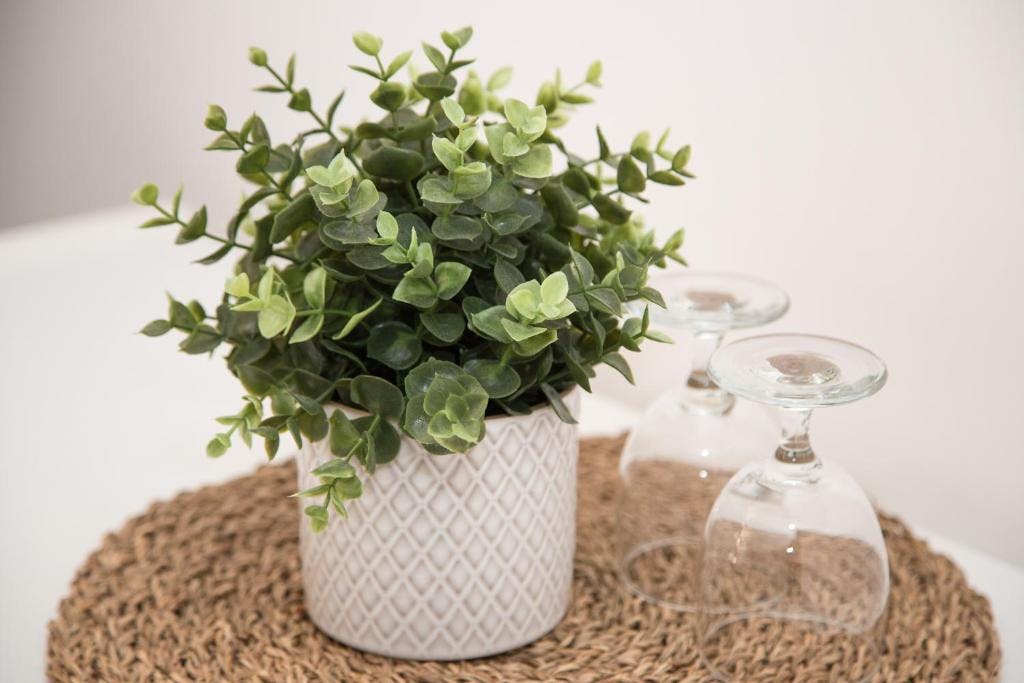 Twin Room with Garden View