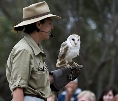 #Raptor Domain interactive wildlife experience