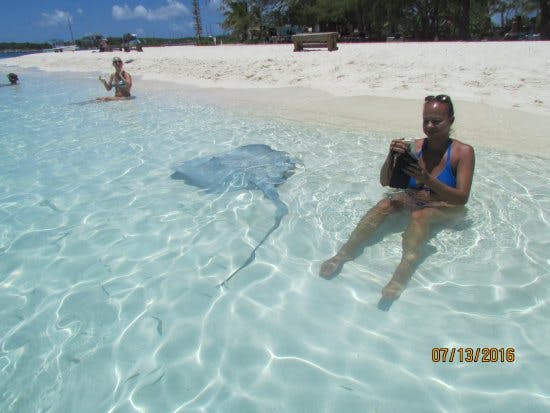 chillin' with sting rays