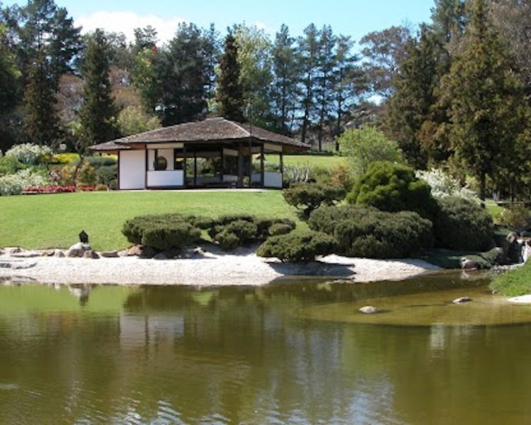 Cowra Japanese gardens