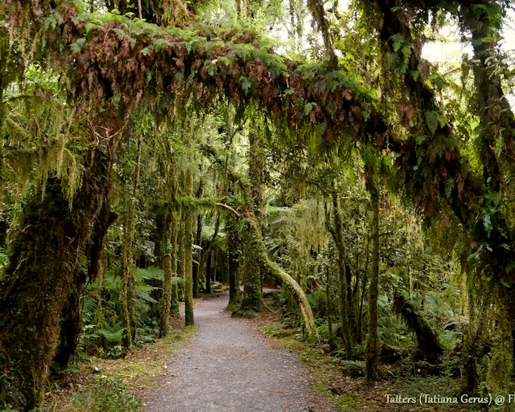 Hokitika Airport is a 30-minute drive away from our Greymouth Hotel