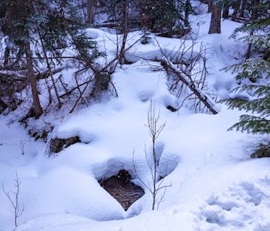 Snowy Mountains