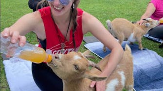 Animal-assisted therapy goats with guests near Houston and Galveston