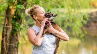 Animal-assisted therapy goats with guests near Houston and Galveston