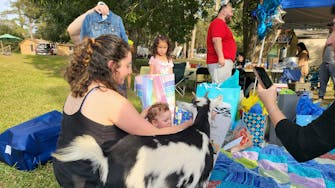 Happy Hour Goat - Away in Alvin, Texas