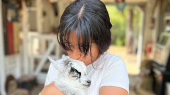 Animal-assisted therapy goats with guests near Houston and Galveston