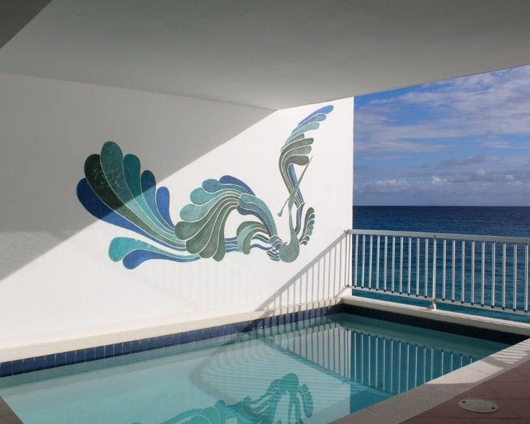 private villa, ocean view, hotels, resorts, st maarten, st martin