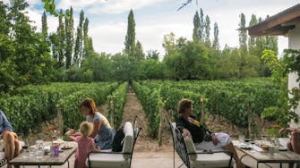 Finca Adalgisa Wine hotel, Malbec Vineyard, Winery Mendoza. Malbec, Mendoza, Hotel de Vinos