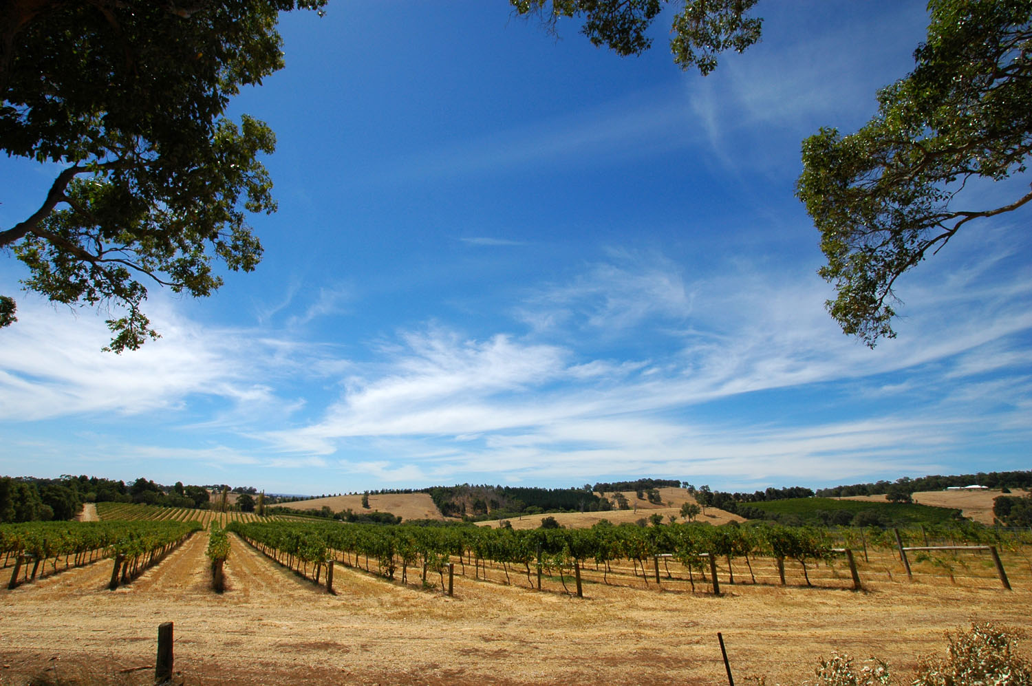 Winery, Margaret River region