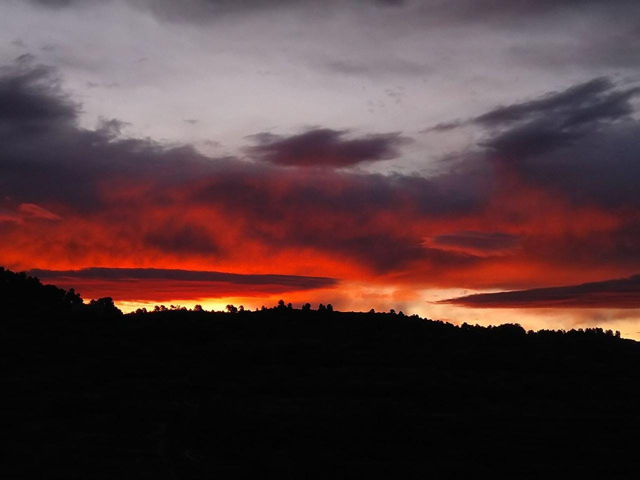 Impressions of Margarida