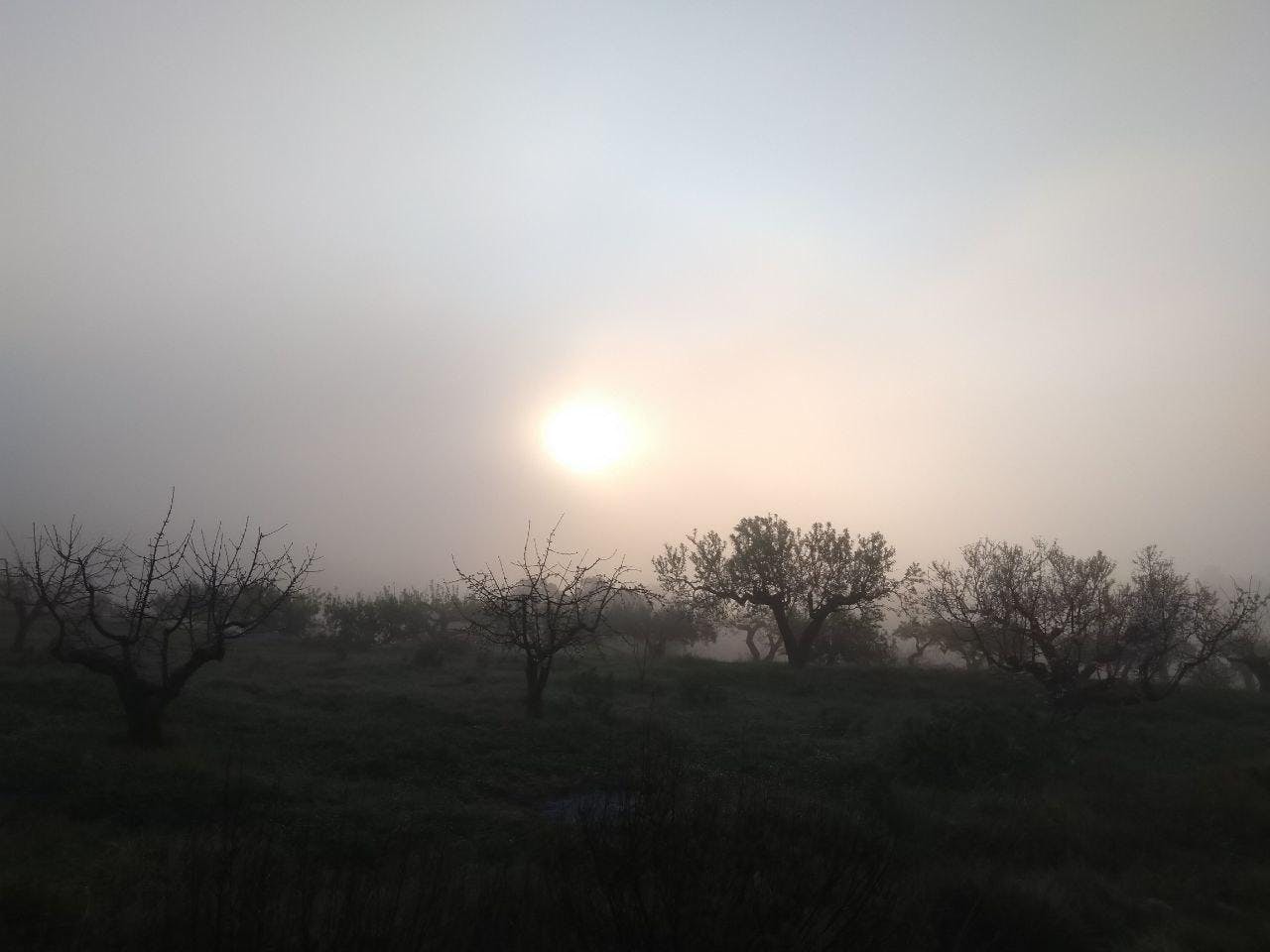 Impressions of Margarida