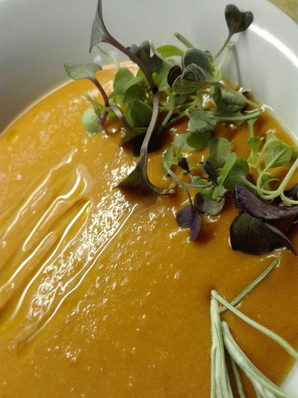 Dinner plate