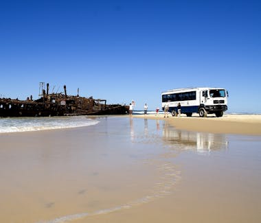 Fraser Island is a must see when visiting Hervey Bay. The iconic Maheno shipwreck is a favourite stop on all tours.
